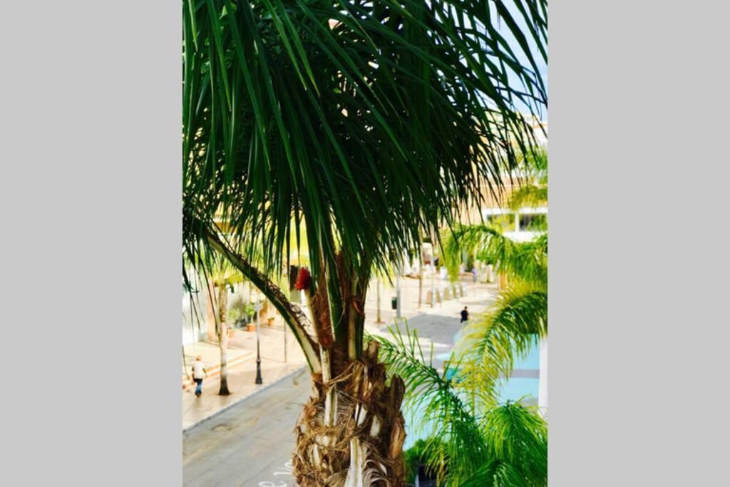 Begona City Center Studio 231 By Namaste Elite Torremolinos Exterior foto